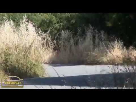 Pozzi Barsanti Rally Cecina 2014 Mix