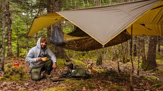 Camping In The Forest With Hammock And Tarp Shelter