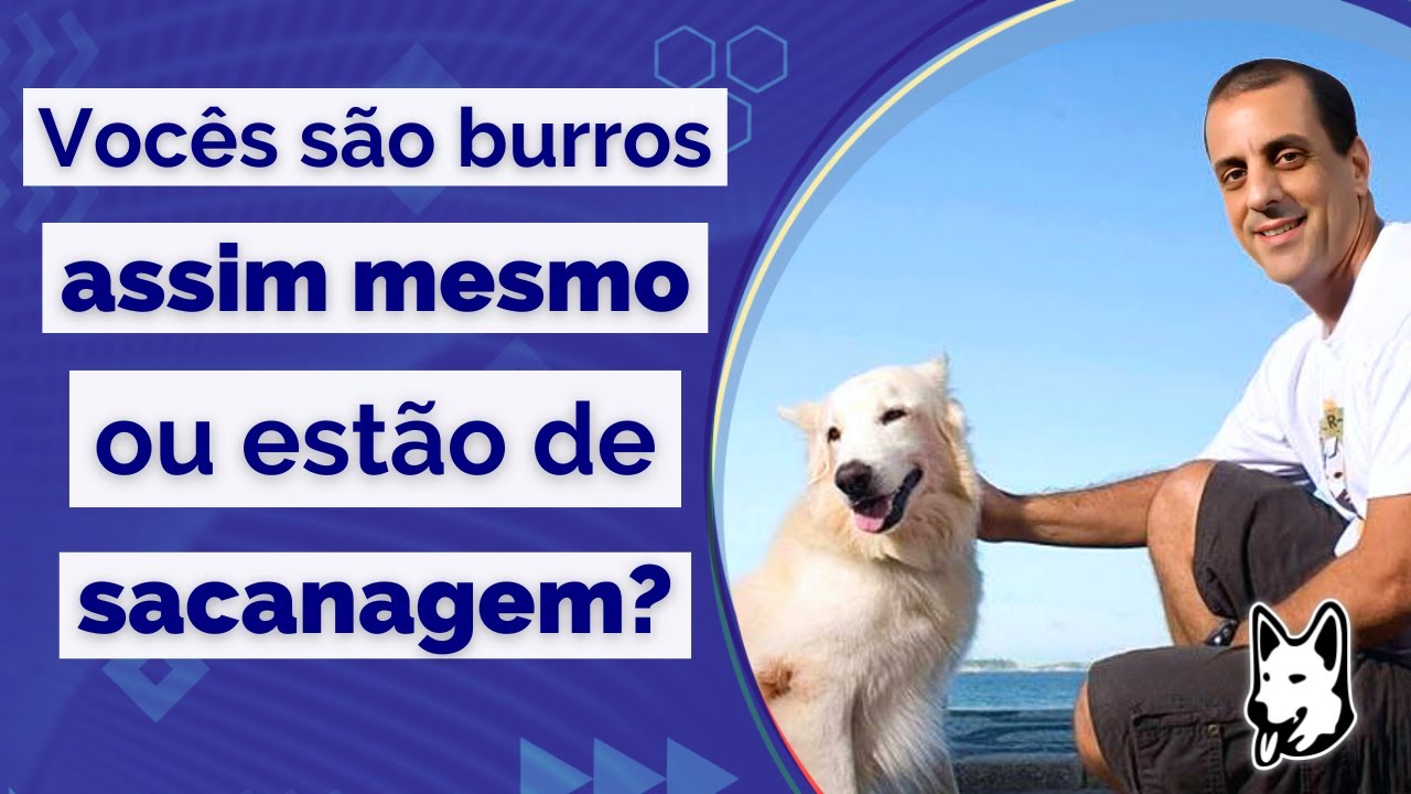 Vocês são Burros assim mesmo ou estão de sacanagem?