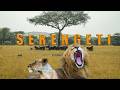 Serengeti Shall Never Die