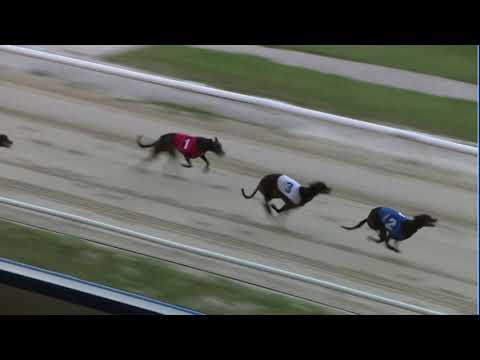 2020 SILVER SALVER - HEAT 4 - T2 BALLYNABEE LUCKY