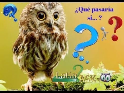 latin_ask’s Video 148045913448 P0ngTal02kE