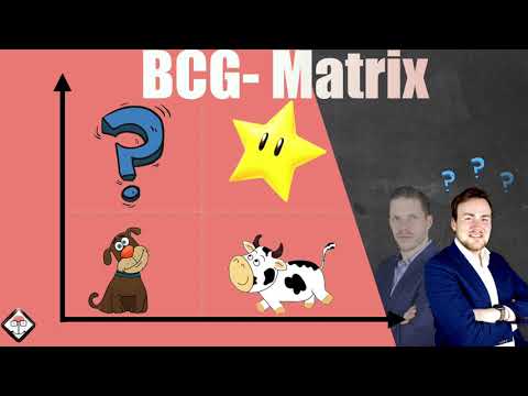 BCG Matrix / Portfolioanalyse einfach erklärt mit Beispiel