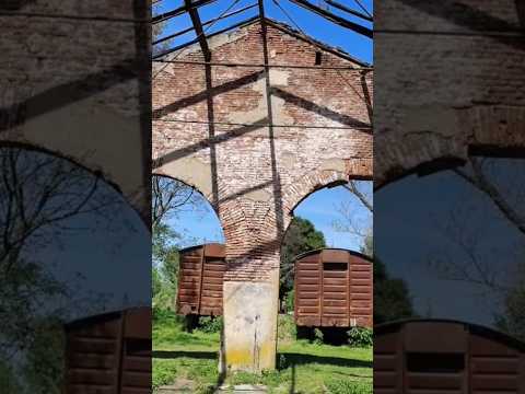 Taller Ferroviario Antiguo y Vagones Abandonados en Altamirano (Coronel Brandsen) Buenos Aires