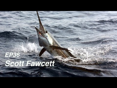 EP36: Dead Bait Sailfishing out of Stuart. FT. Scott Fawcett
