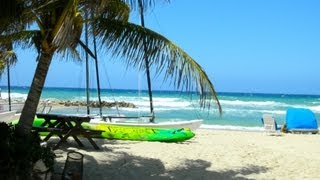 Best Time to Visit | Jamaica Travel