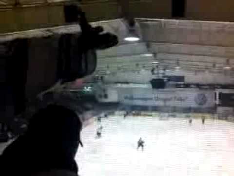 Kassel Huskies   Der Mops