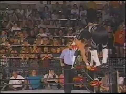7.8.96: Eddie Guerrero vs. Psychosis