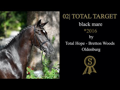 02 Total Target