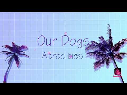 Tamil dog funny video||Labordor retriever Funny video