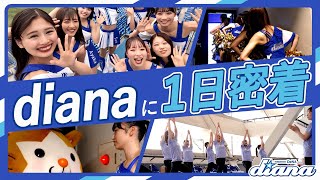 Re: [討論] 日職為什麼沒像台韓在炒啦啦隊的人氣