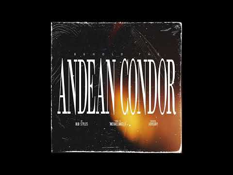 Bub Styles & MichaelAngelo - Behold The Andean Condor (EP)
