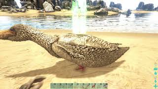 Ark実況 テイム プテラ 編 Ark Survival Evolved تحميل اغاني مجانا