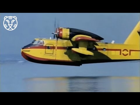 afbeelding Pont de Varsòvia