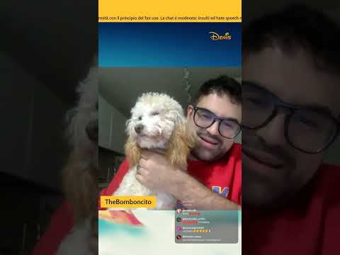 SCONTRO BRUTALE LIVE: Meloni vs Marcolinos | Tutti Contro Tutti