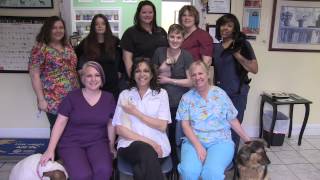 preview picture of video 'Forsyth Veterinary Hospital - Short | Winston-Salem, NC'
