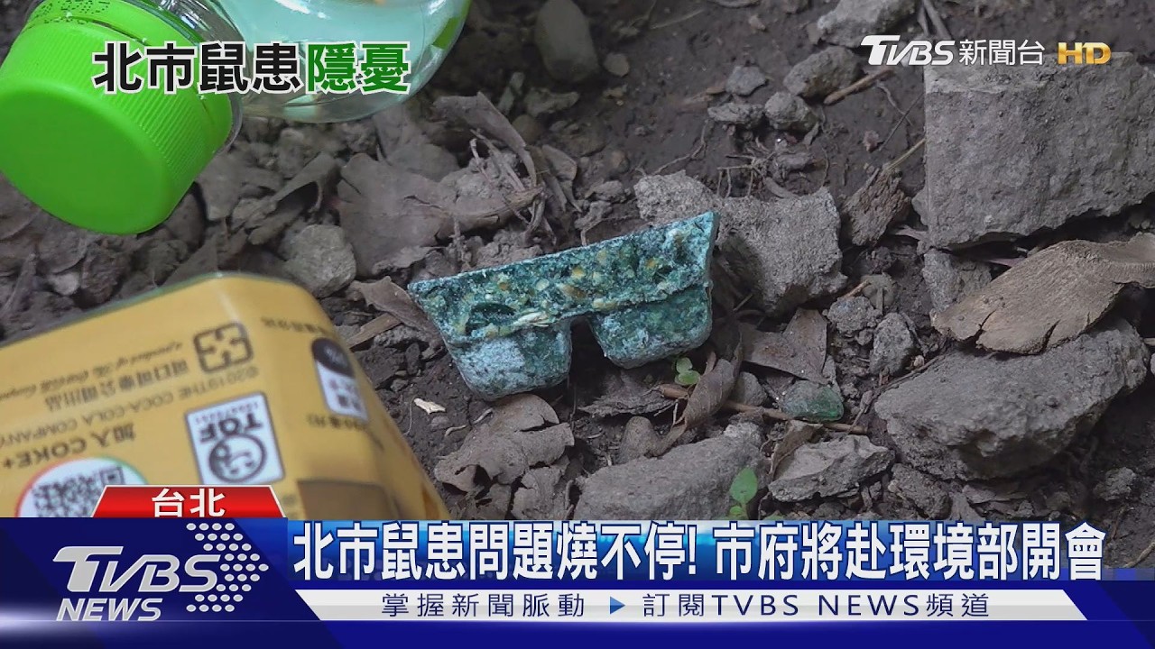 影音/怕毛孩誤食老鼠藥! 彭啓明:不排除公布投藥地圖