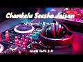 Chamkelu Seesha Jaisan Slowed Reverb Bhojpurisong Pawansingh VISH LOFI WORLD