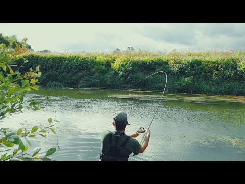 Centerpin Trotting | A Lesson From The Master!
