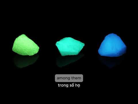 Transform Your Yard with a Glowing Concrete Sidewalk | VNBUILDING