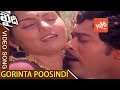 Gorinta Poosindi Video Song Khaidi Movie Chiranjeevi Madhavi Sumalatha YOYO Cine Talkies
