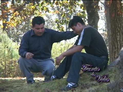 Fuente de vida (Las aves)