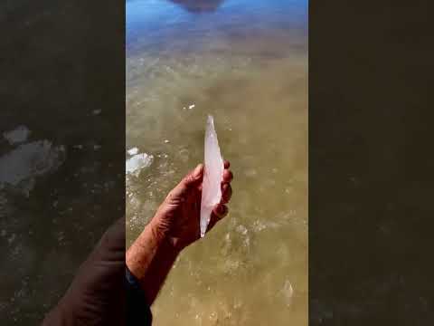 !Salar Carcote - Hielo Dulce!