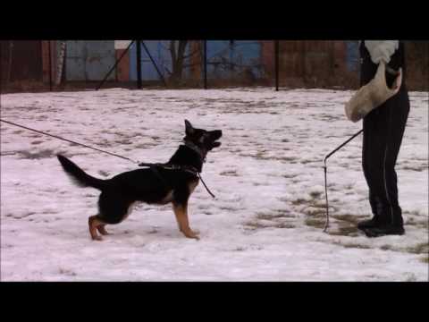 Maffy z Jukasu protection 12 mesicu