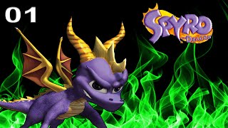 Spyro the Dragon 120% Walkthrough HD - Part 1: Artisans Home