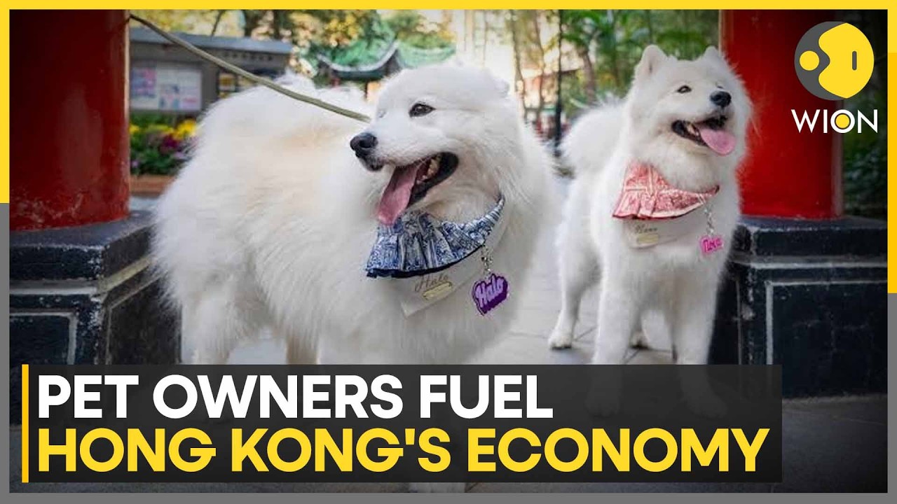Hong Kong's Pet Economy Tops HK$6 Billion | WION News