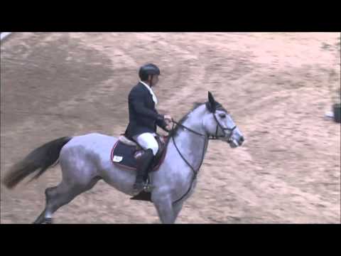 LIGHT BLUE DEL PETRICCIO ROSSO f.g. SI, 2008 (Zirocco Blue x Indoctro)