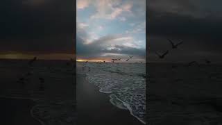 Download lagu Ali Saber•Maaqoula mp3