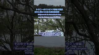 【日豪の歴史】旧日本軍の空襲を生き抜いた奇跡の難破船「カランギ」の真実 #shorts