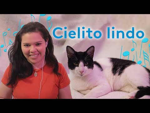 Cielito Lindo mas gatito lindo canción infantil para dormir o jugar