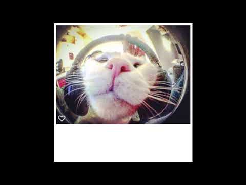 D-Nox, Spuri - Principal Duty (Original Mix)