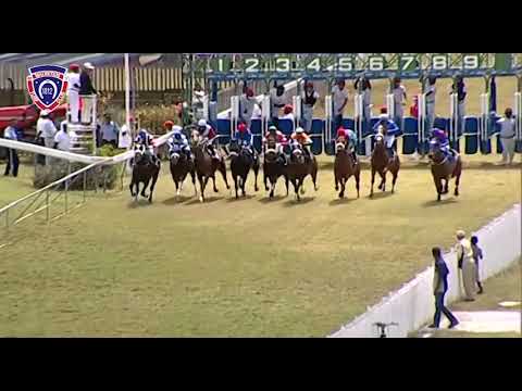 RM25 R2 - Perplexing