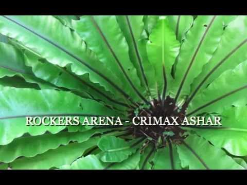 ROCKERS ARENA - CLIMAX ASHAR