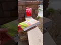 Evening wind down mini-vlog
