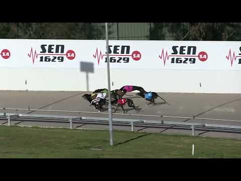 Angle-Park-23072022-Race-7