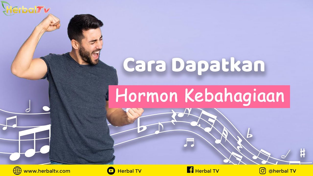 Apa Itu Hormon Kebahagiaan Dan Bagaimana Cara Mendapatkannya