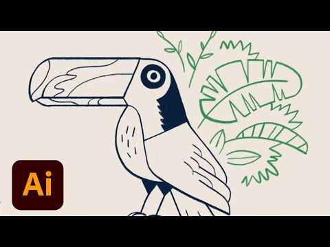 Draw Along with Kyle T. Webster - Toucan | Adobe Creative Cloud