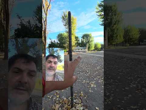 ¡Este camping en PLOTTIER está quedando INCREÍBLE! 🚐✨