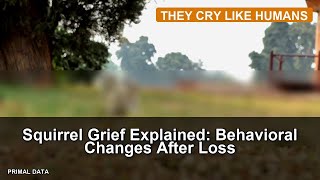 Squirrel Grief Explained: Behavioral Changes After Loss