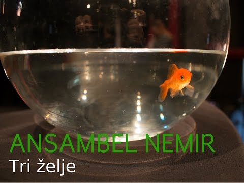 ANSAMBEL NEMIR  -  Tri želje [Uradni videospot]
