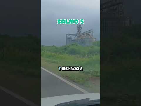 Salmo 5. Campo Largo, Chaco. RN89.