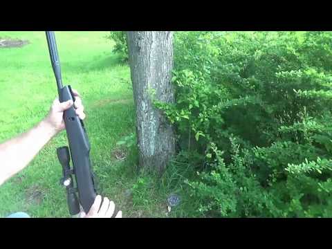 Gamo Accu Whisper Pellet Gun Overview, .177 Air Gun