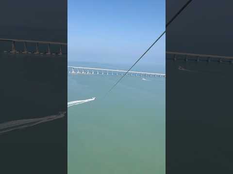 I love heights!🪂 #birdybirds #beautiful #vacation #birds #paragliding #view #wow #amazing #like