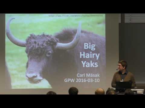 gpw2016 Carl Mäsak - Big Hairy Yaks