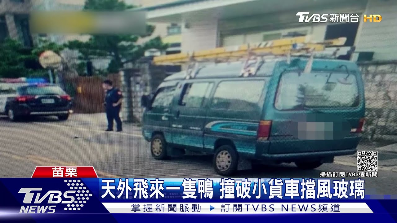 天外飛來一隻鴨 撞破小貨車擋風玻璃