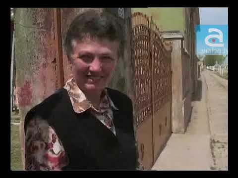 Navetistul Banatean - Saravale